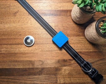 May include: A black dog collar with a white stripe and a blue square-shaped tag with a white letter C on it. A round white tag with an apple logo is attached to the collar.