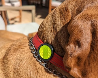 Reflektierendes Sicherheitshalsband für Hunde und Katzen, Reflektor für Abendspaziergänge