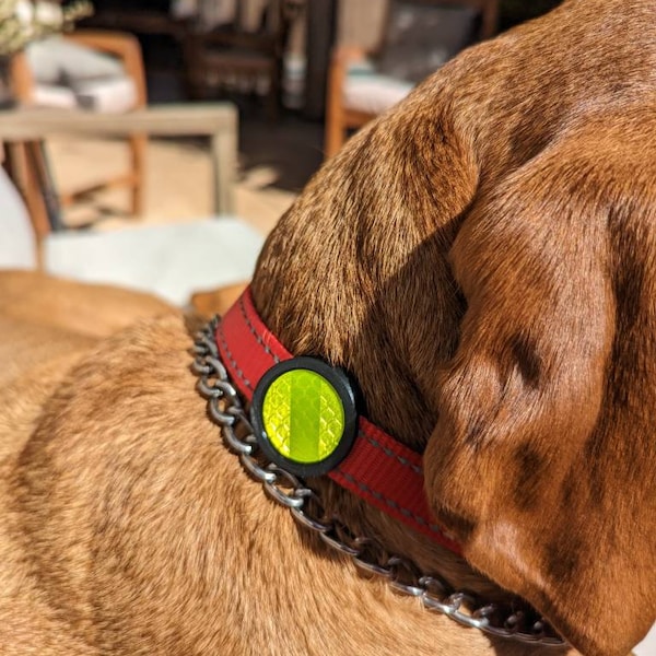 Reflective Safety Collar Accessory for dogs and cats, reflector for evening walks