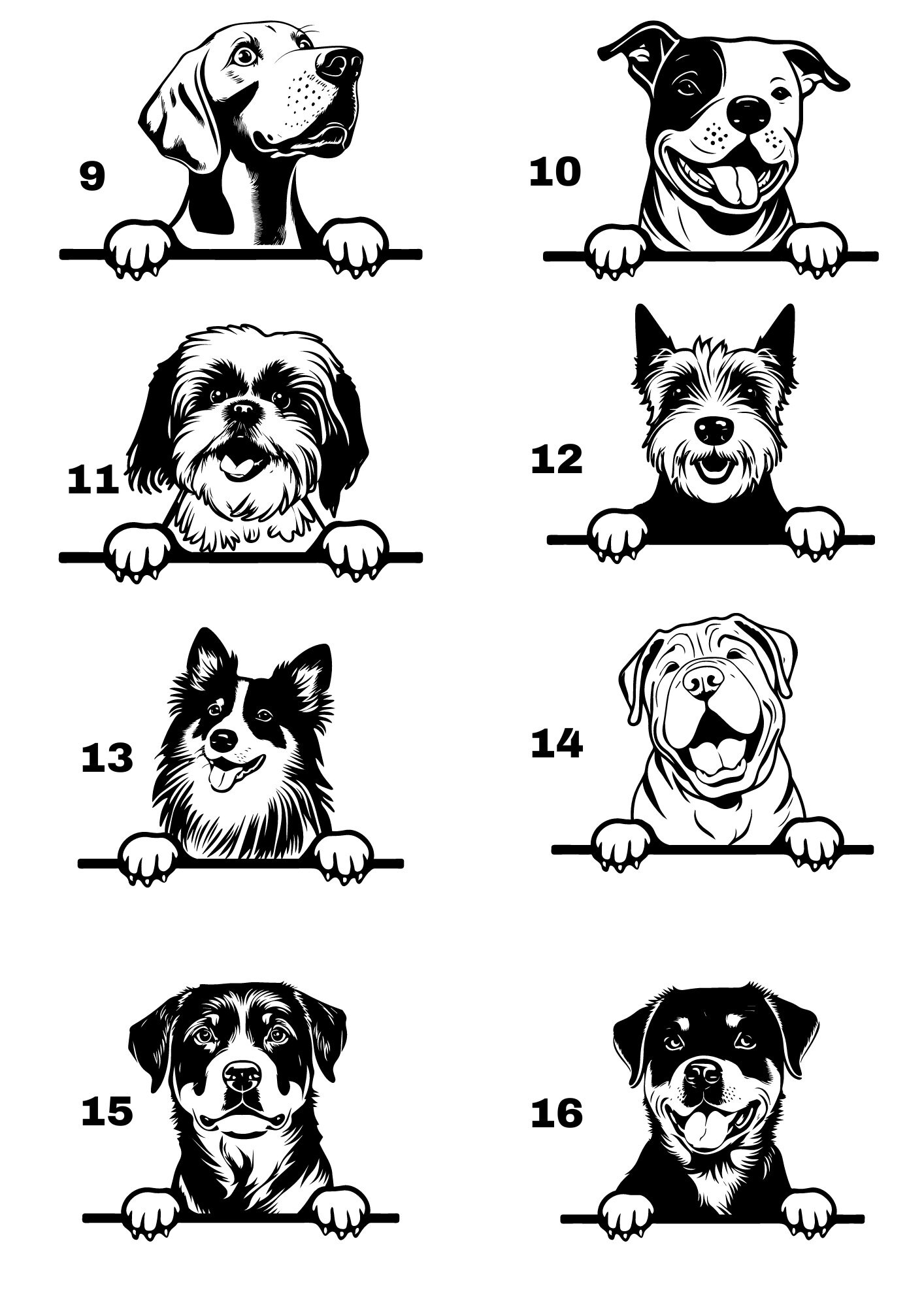 Personalized Document Case for Pet Owner/dog Documents/vet - Etsy