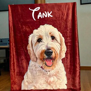 Custom Pet Blanket with Photo & Name, Personalized Dog or Cat Portrait Throw,Pet Picture Blanket,Cartoonized Pet Blanket with Name,Dog gift