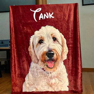 Custom Pet Blanket with Photo & Name, Personalized Dog or Cat Portrait Throw,Pet Picture Blanket,Cartoonized Pet Blanket with Name,Dog gift