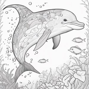 Dolphin | Coloring Book Page | Instant Download