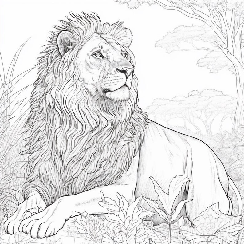 Lion Coloring Book Page Instant Download - Etsy