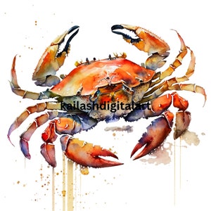 Watercolor Crab Clipart Digital Scrapbooking Paper Crab Prints High Quality JPGs Files Crab Digital Paper Crab Collage Resource Wall Art