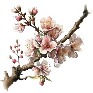 Kirschblüte Clipart 5 Hochwertige JPGs Digitale Downloads Kartenherstellung Mixed Media Digital Paper Craft Wand Kunst Drucke druckbare Leinwand