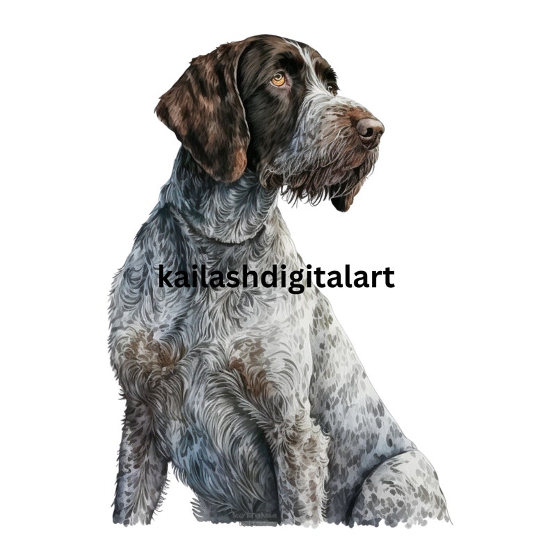 German Wirehaired Pointer Clipart High Quality Jpgs Digital Paper ...