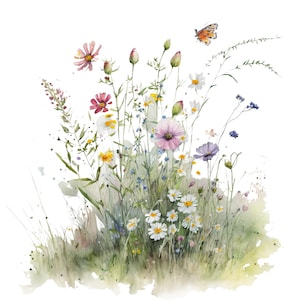 Wildflower Meadow Clipart 5 High Quality JPGs Digital Planner Junk Journaling Watercolor Clipart Commercial Use Digital Download printable
