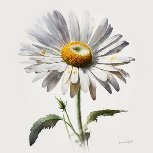 Daisy Clipart 5 High Quality JPGs Digital Downloads Card Making Mixed Media Digital Paper Craft  print canvas wall art