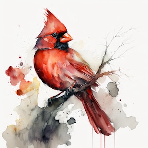 Red cardinal watercolor Clipart 5 High Quality PNGs Digital Paper Crafting Apparel Printable Digital Download Cardinal portrait print canvas