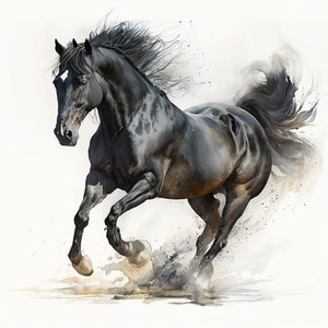 Black Stallion Clipart Digital Download 5 High Quality JPEGs Digital Planner Junk Journaling Watercolor Wall Art Commercial Use print canvas