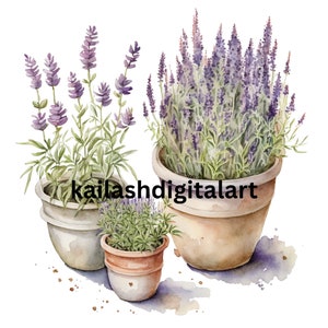 Lavender Pots Clipart 5 High Quality JPGs Digital Planner Junk Journals Watercolor Wall Art Commercial Use Digital Download print canvas
