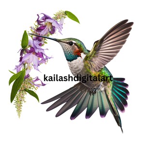 Elegant Hummingbird Digital Illustration Bundle Botanical Hummingbird Printable Wall Art Design Resource Digital Paper downloadPack Clipart