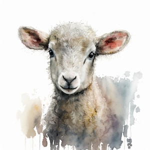 Lamb Clipart digital download 5 High Quality JPEGs Scrap Books Digital Paper Craft Mugs T-Shirts Media Commercial License Instant Download