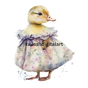 Ducklings in Dresses Digital Design Bundle Spring Cute Duckling Illustration Crafting Bundle Digital Paper Duckling in Clothe Clip Art print