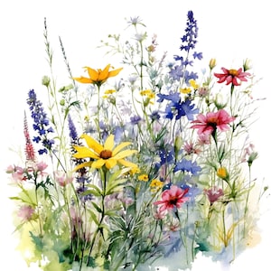 Wildflower Meadow Clipart 5 High Quality JPGs Digital Planner Junk Journaling Watercolor Clipart Commercial Use Digital Download printable