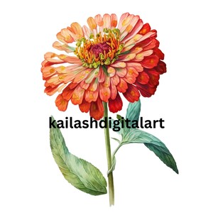 Zinnia Clipart 5 High Quality JPGs Digital Download Great For Card Making Mixed Media Digital Paper Craft print canvas wall art printable