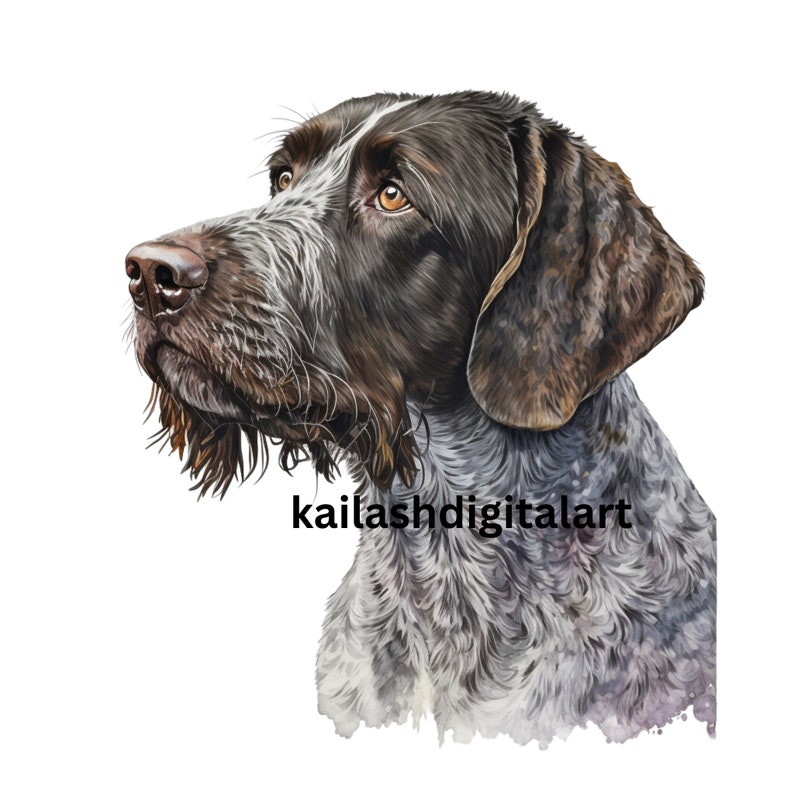 German Wirehaired Pointer Clipart High Quality Jpgs Digital Paper ...