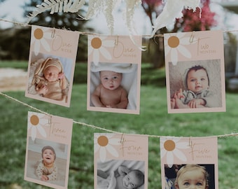 Daisy Monthly Photo Banner I Daisy Birthday Theme Decor I 1St Birthday Photo Cards I Pink Boho Daisy Birthday Banner I Custom Banner I DL003