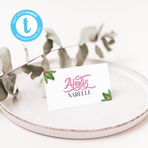 Editable Christmas Food Labels | Custom Pink & Red Place Cards | Flat and Tent Card Templates | Vintage Christmas Party Buffet Card | SEA01