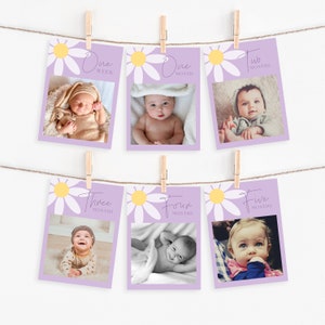 Daisy Baby Bannière photo mensuelle I Lilas Photos de première année Décoration de fête I Cartes photo 1er anniversaire I Bannière personnalisée sur le thème floral Boho I DL003
