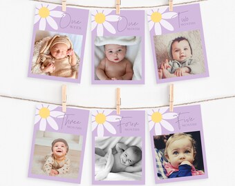 Puede incluir: Un conjunto de seis tarjetas de hitos para bebés de color morado con un diseño de margarita. Cada tarjeta presenta un hito de edad diferente, desde una semana hasta cinco meses, y una foto de un bebé.