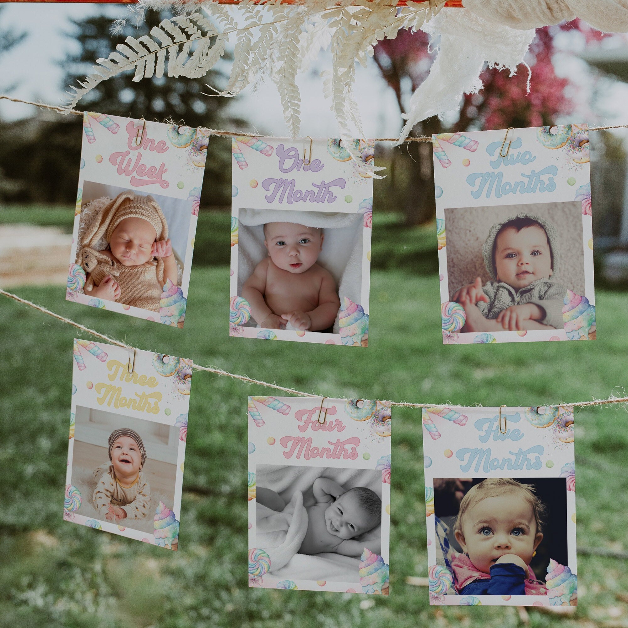 Luxylei 1st Birthday Baby Photo Banner For Newborn To 12 Months, Monthly Milestone Photograph Bunting Garland, First Birthday Celebration Decoration...
