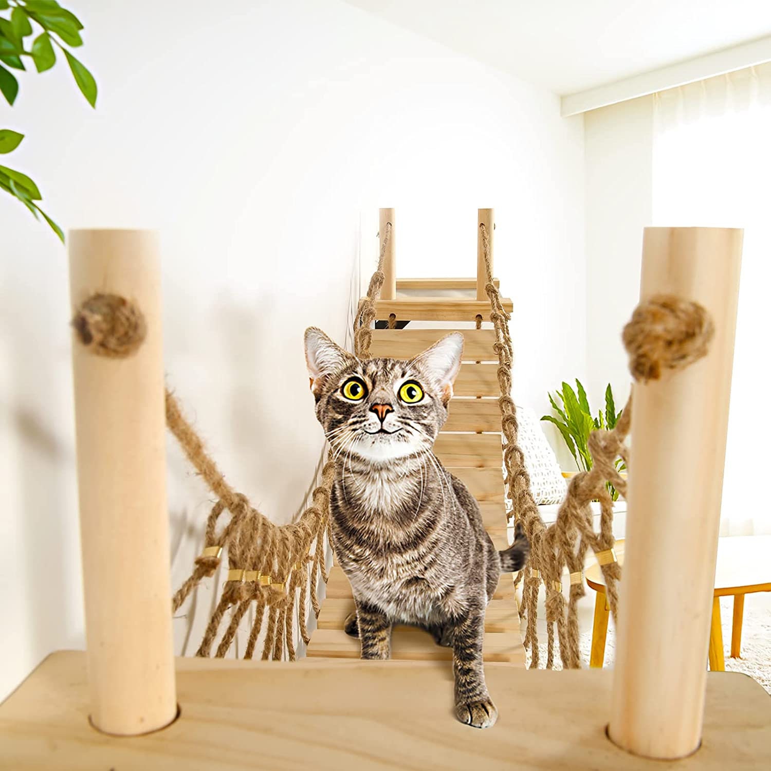 Wood Cat Wall Bridge Cat Wall Shelf Cat Play Furniture Etsy Australia