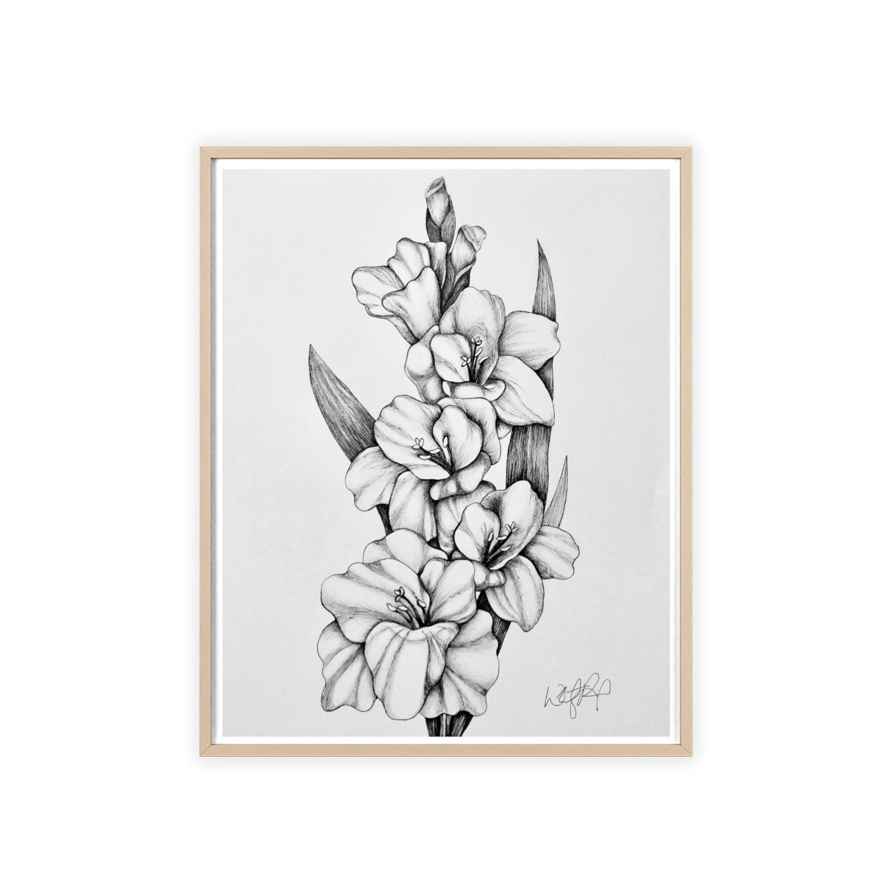 Exquisite Gladiolus Art Print: Elevate Your Space With Timeless Elegance -  Etsy