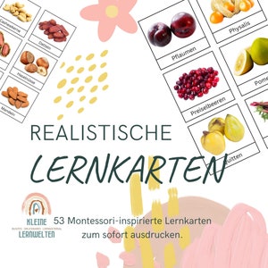 53 x Früchte Beeren Nüsse Lernkarten Kleinkind, Montessori, Flashcards, Sprachkarten, Einkaufen, Download