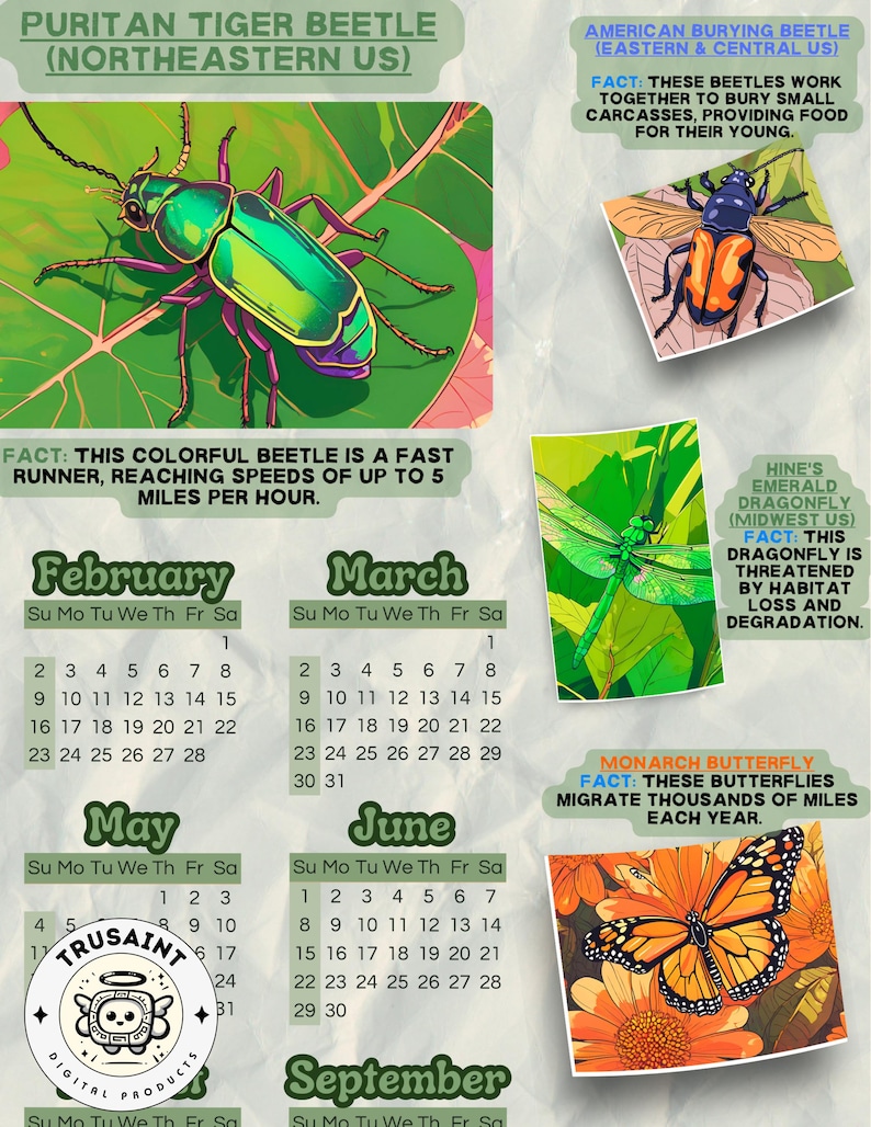 2025 Endangered Insects Calendar, Editable Calendar, Printable Anime