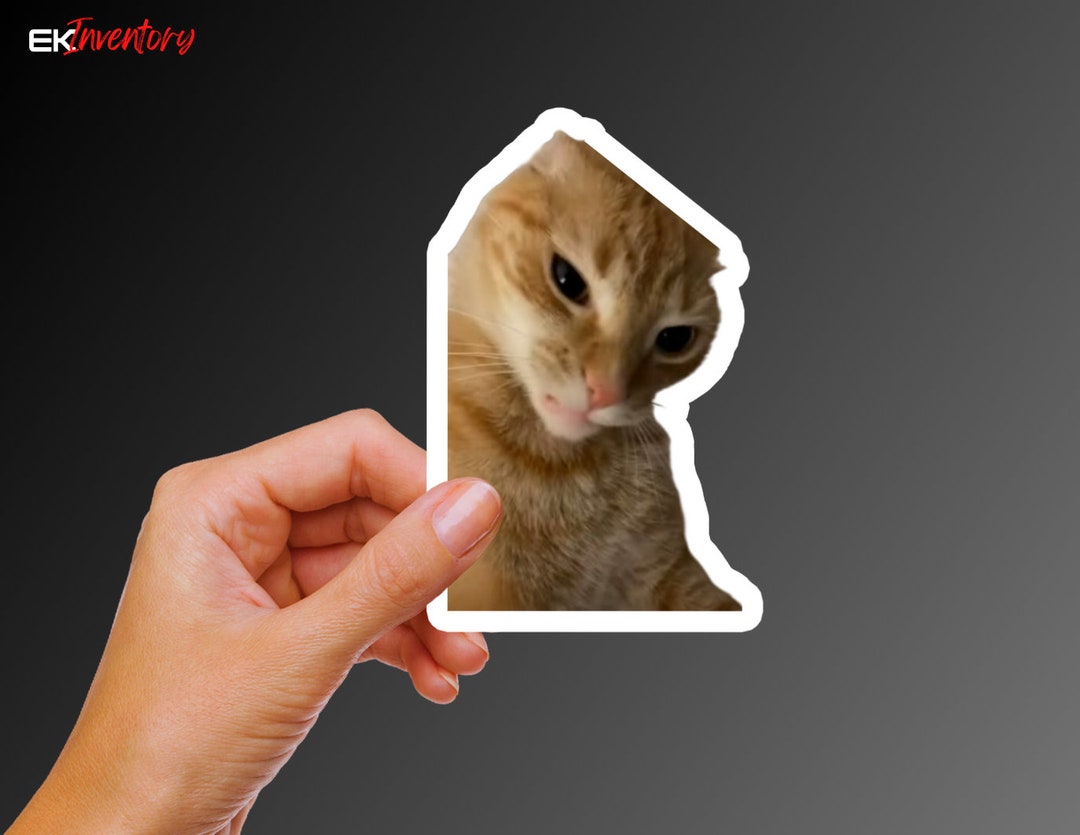 Stop You're Scaring Me Meme Orange Cat Sticker Funny Sticker Decorative