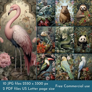 Lindas imagens de fundo de animais tropicais. Arquivos PDF e arquivos JPEG para impressão. 300 dpi. Páginas de álbum de recortes - Páginas de lixo eletrônico - Cartões