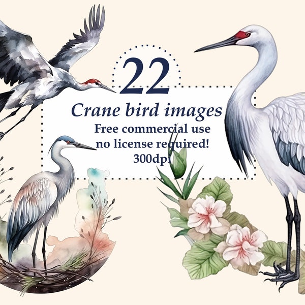 22 Grue oiseau Clip Arts. Grue japonaise. Lot png aquarelle, utilisation commerciale gratuite. Imprimable. Fichiers séparés sur fond transparent.