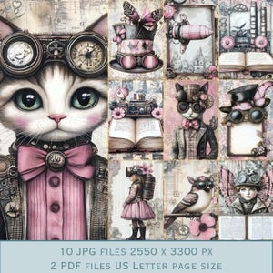 Images d'arrière-plan steampunk rose : images victoriennes futuristes bicolores roses. Livres, chat, oiseau et autres.  Format lettre US 300 dpi JPEG.