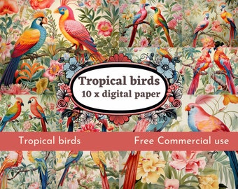 Vintage Tropische Vögel Digitales Papier: Bunt PNG Papier (Download)