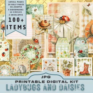 Kit numérique coccinelle et marguerite, fabrication de cartes, kit de journal imprimable. Jardin, Vichy pastel. 30 pages JPG au format lettre. 300 dpi téléchargement direct
