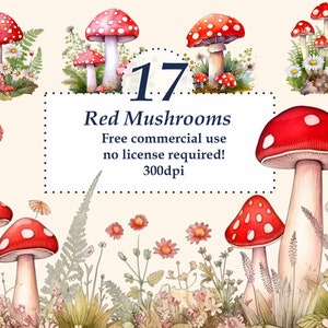 17 Roter Pilz Clip Art und Seitenränder, Fliegenpilz, druckbares Aquarell Png-Bundle, kostenlose kommerzielle Nutzung. transparenten Hintergrund.