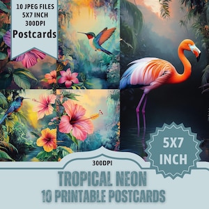 Tropischer Regenwald Postkartendesign: Leuchtende Neonfarben. Flamingo, Kolibri. 10 JPEG-Dateien 5x7 Zoll. 300dpi direkter Download auf Etsy.