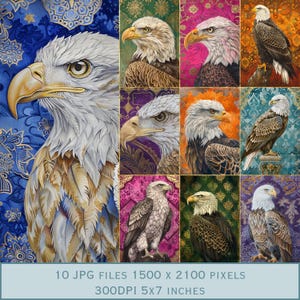 Diseño de postal con águila: arte animal espiritual en azul, verde, naranja, morado y rosa. 10 archivos JPEG de 5x7 pulgadas. Descarga directa de 300 ppp en Etsy.