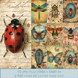 Belles images d'arrière-plan de la nature des insectes. Fichiers PDF et fichiers JPEG imprimables. 300 ppp. Pages de scrapbooking - Pages de journal indésirable - Cartes