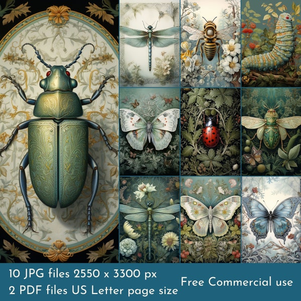Beautiful Insect Background Images. PDF files and Printable JPEG files. 300dpi. Scrapbook pages - Junk Journal pages - Cards
