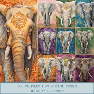 Diseño de postal de elefante: arte animal espiritual en azul, verde, naranja, morado y rosa. 10 archivos JPEG de 5 x 7 pulgadas. Descarga directa de 300 ppp en Etsy.