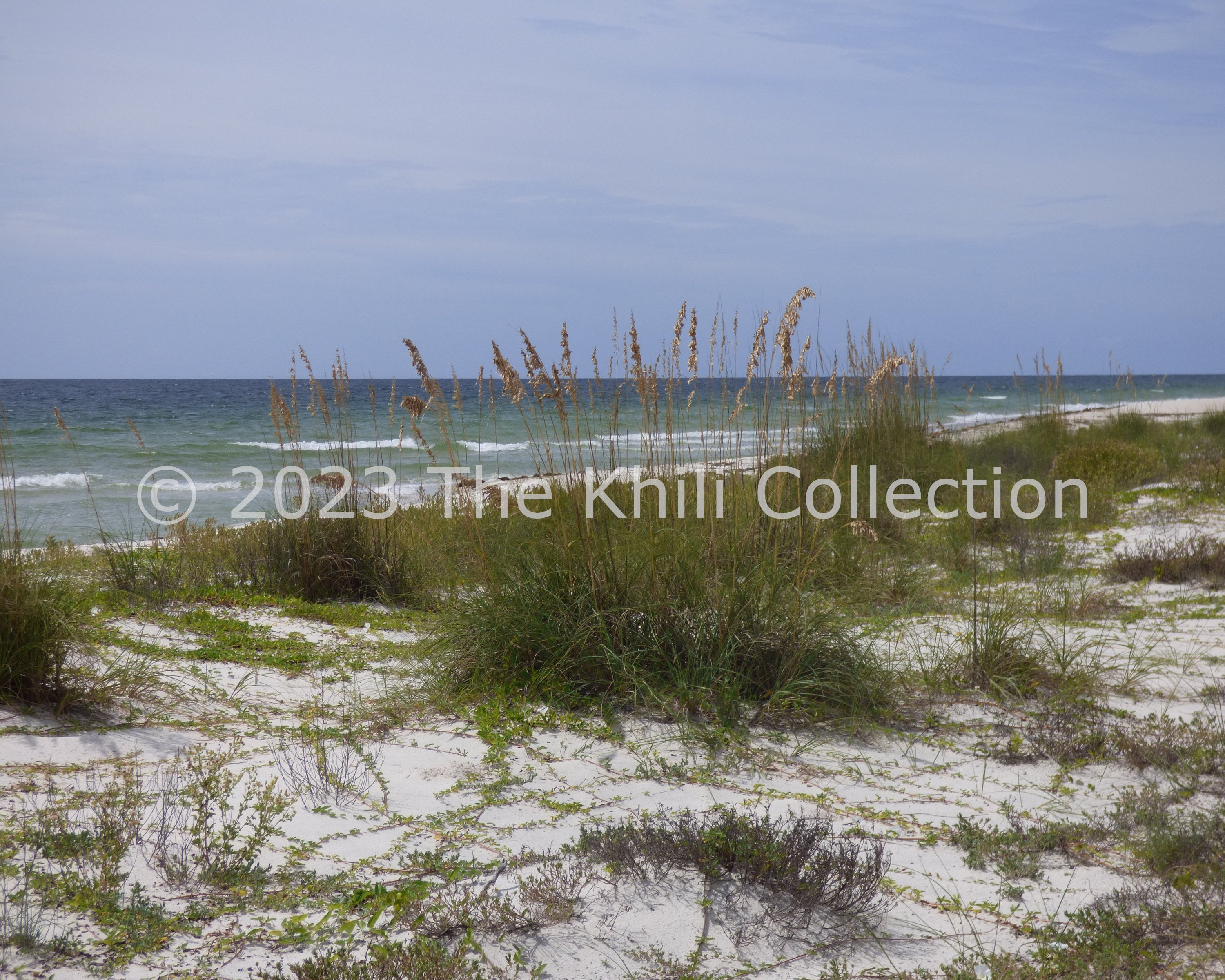 Coastal Art Print, Sea Oats Art Print, Sand Dunes Art Print, Photo Art ...