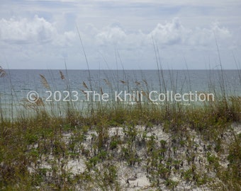 Coastal Photography, Sand Dunes & Sea Oats Photography, Coastal Décor, Beach Décor, Coastal Wall Art, Beach Wall Art, Printable Art