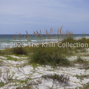 Coastal Photography, Sea Oats Photography, Sand Dunes Photography, Coastal Décor, Beach Décor, Sea Oats & Sand Dunes, Printable Art
