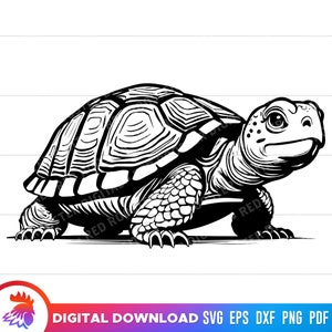 Box Schildkröte svg, Schildkröte SVG, Schildkröte geschnitten Datei, Schildkröte Clipart, bedruckbare Schildkröte, SVG-Datei für Cricut, Schildkröte Kunstwerk, Schildkröte png, svg, dxf