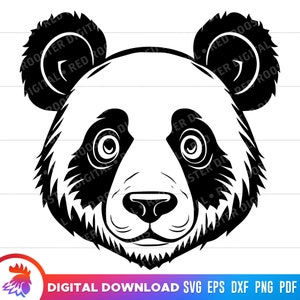 Lindo oso panda, cara de oso panda svg, oso panda svg, panda svg para cricut, imágenes prediseñadas de oso panda, panda de dibujos animados, archivo de corte panda, svg, dxf, png