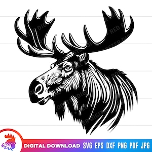 Bull Moose svg, Moose Head clipart, Bull Moose Cut File, Moose cut file, Moose clipart, Canadian Moose, moose svg for cricut, dxf png vector