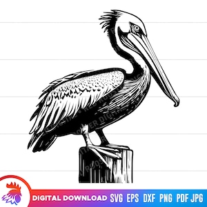 Fichier de coupe Pelican, Pelican standing on Post, Pelican, Pelican svg pour cricut, clipart Pelican, silhouette Pelican, vector, png, dxf, svg